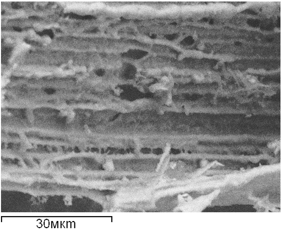 Сонохимический метод получения нанобиокремнезема