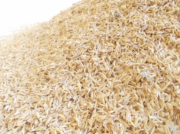 Арболит из рисовой лузги - дешево и сердито?